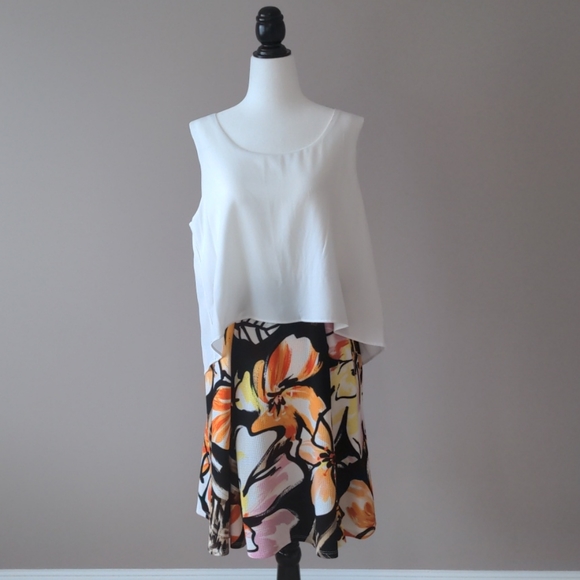 Sleeveless Flare Top Dress - Picture 1 of 5